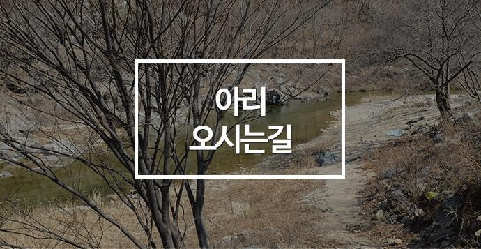 오시는길안내-[인제]아리캠핑장