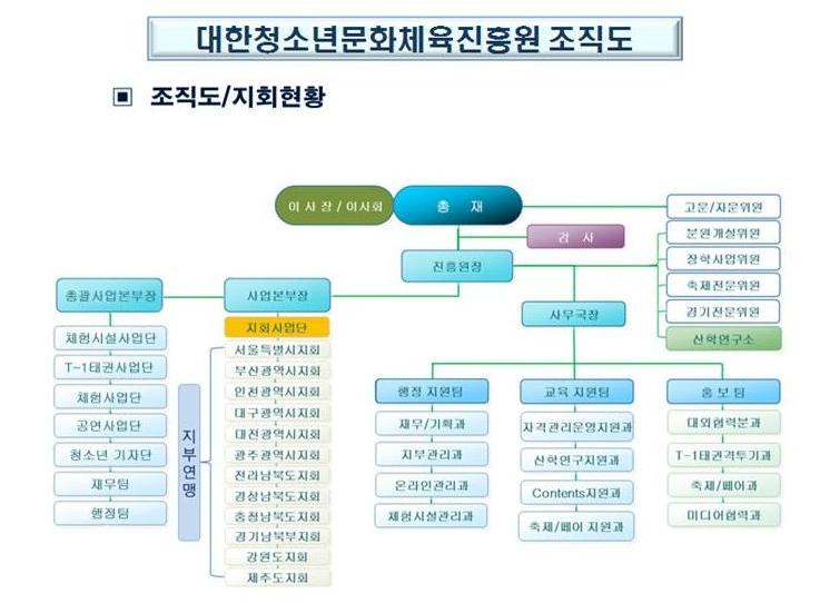 소개글-대한청소년문화체육진흥원