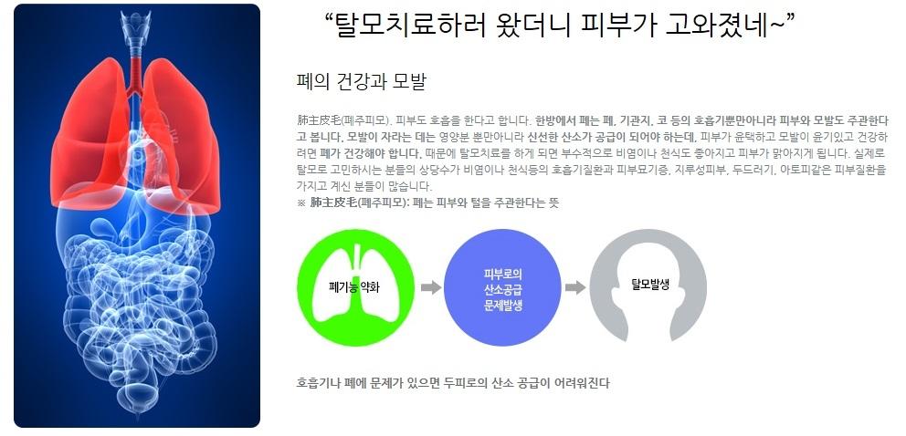더봄탈모치료원리-목동탈모 더봄한의원