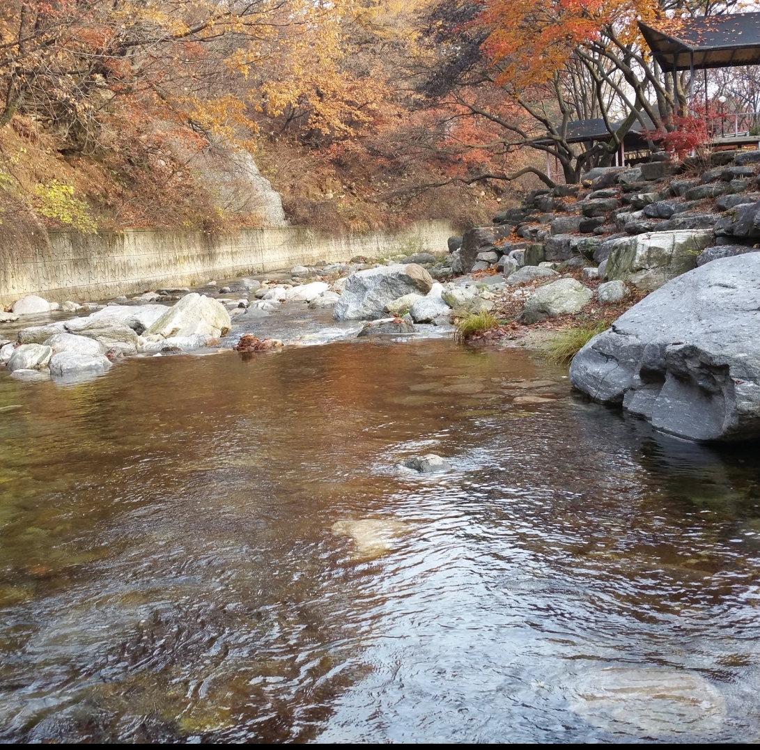 [View]-유명산 밸리