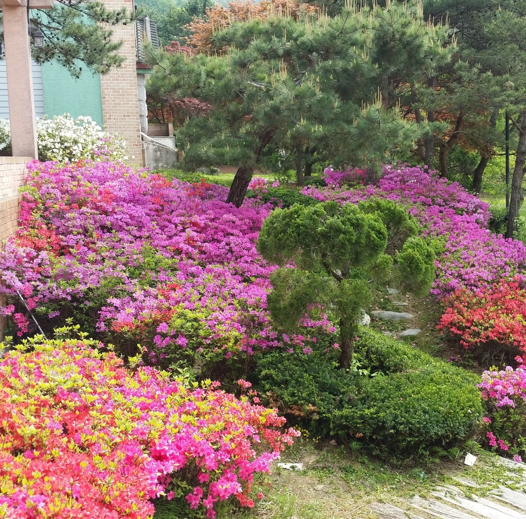 [View]-유명산 밸리