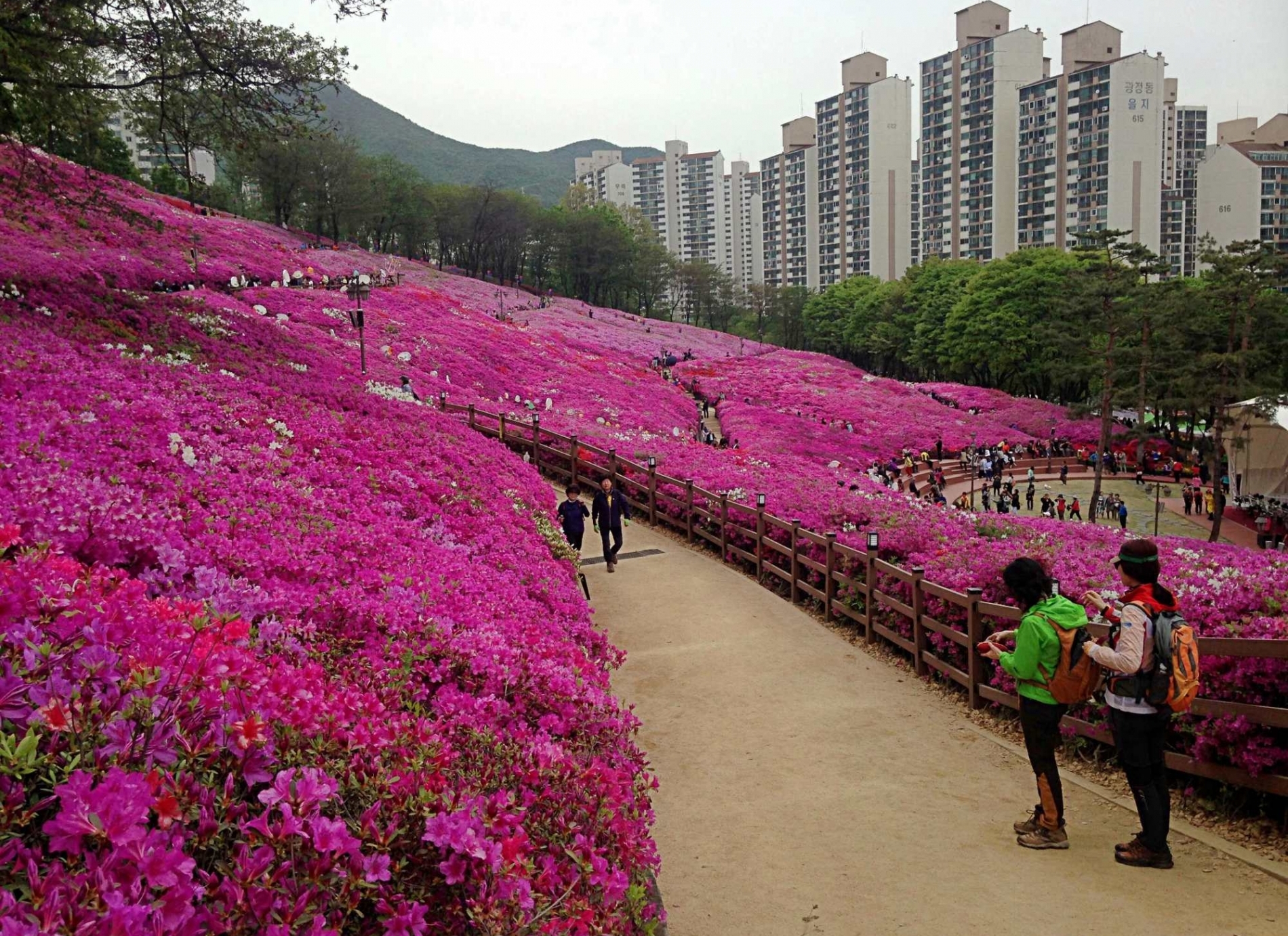 행사사진-(주)렌탈코리아