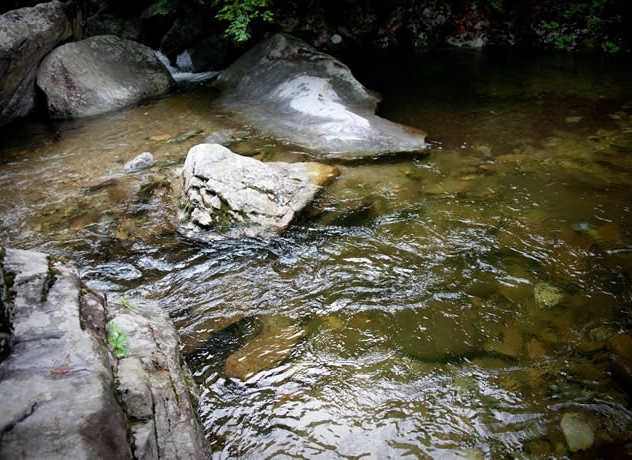 소개-가평 유명산 푸른숲캠핑장