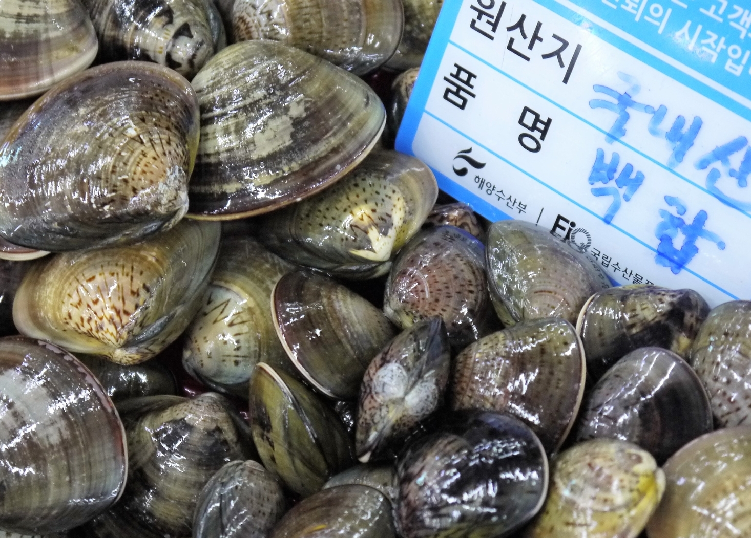 스토리-자연산수산