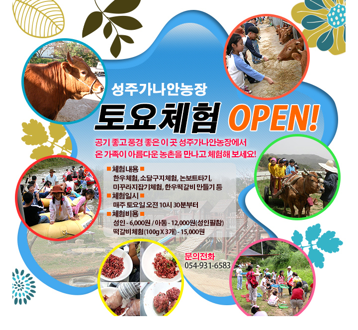 농장 토요체험-성주 한우맛집 가나안 농장