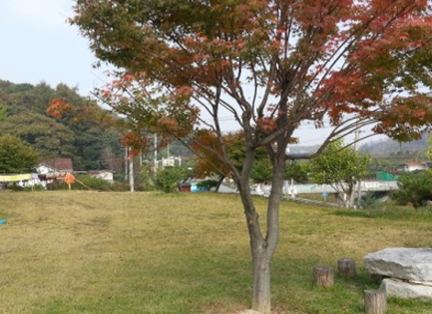 7-4. 안성 우래힐링원-디톡스캠프