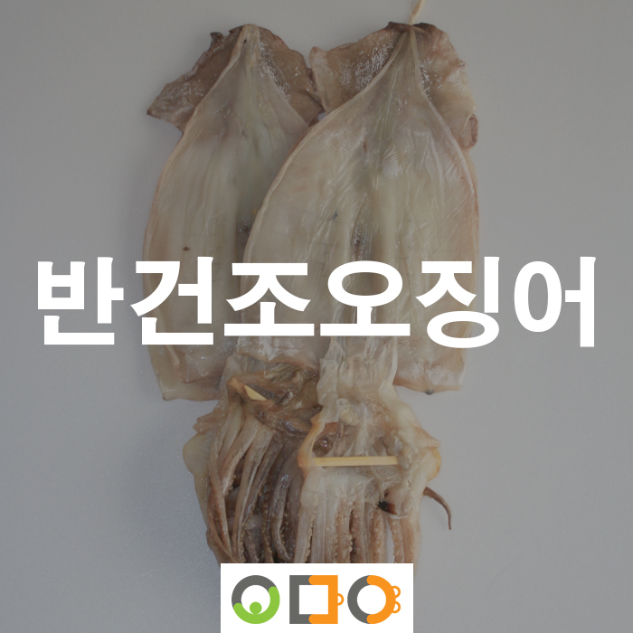 추천 & 신상품-오마야젓갈 건어물